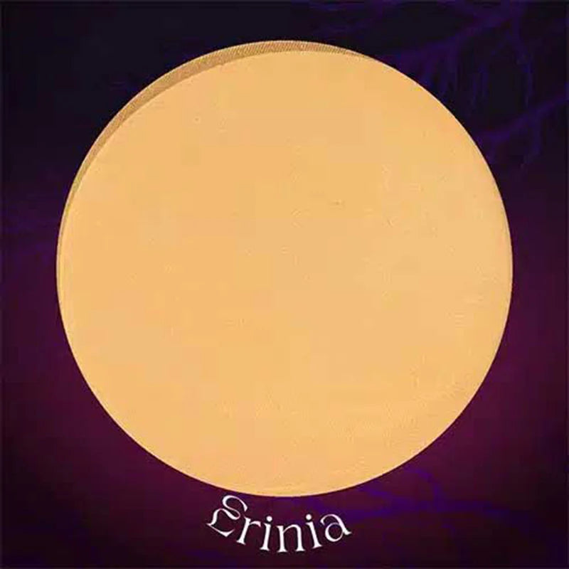 Polvo compacto | ULTRA MATTE | ERINIA